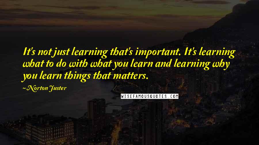 Norton Juster Quotes: It's not just learning that's important. It's learning what to do with what you learn and learning why you learn things that matters.