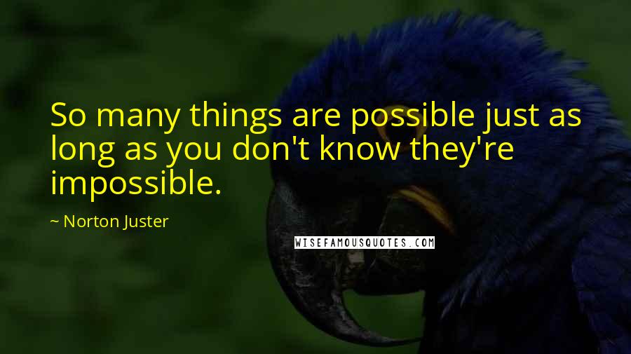 Norton Juster Quotes: So many things are possible just as long as you don't know they're impossible.