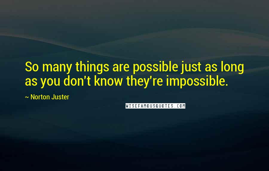 Norton Juster Quotes: So many things are possible just as long as you don't know they're impossible.