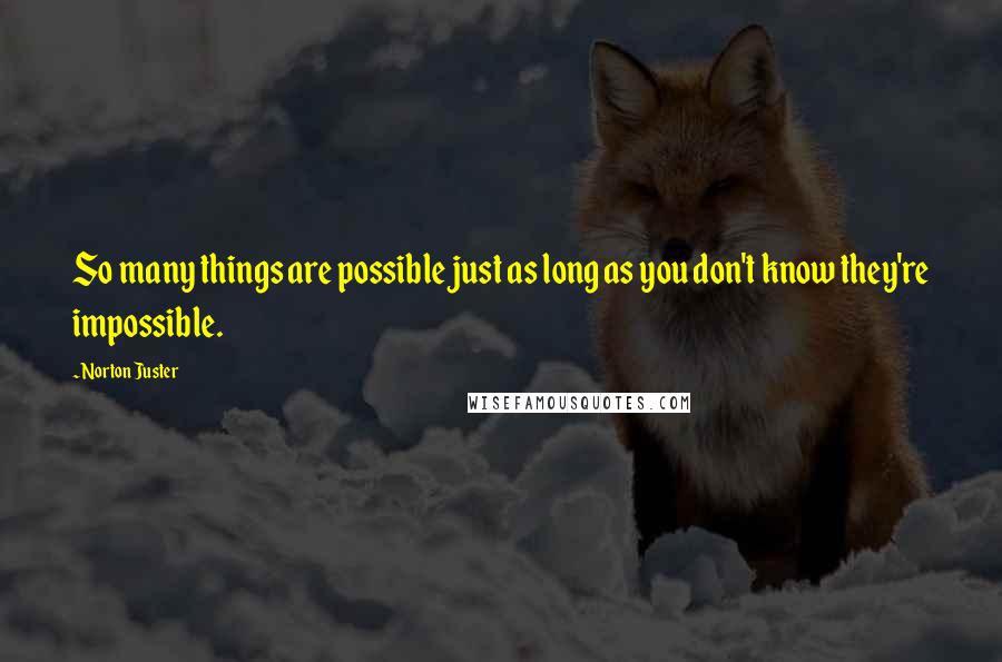 Norton Juster Quotes: So many things are possible just as long as you don't know they're impossible.