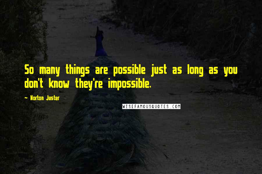 Norton Juster Quotes: So many things are possible just as long as you don't know they're impossible.