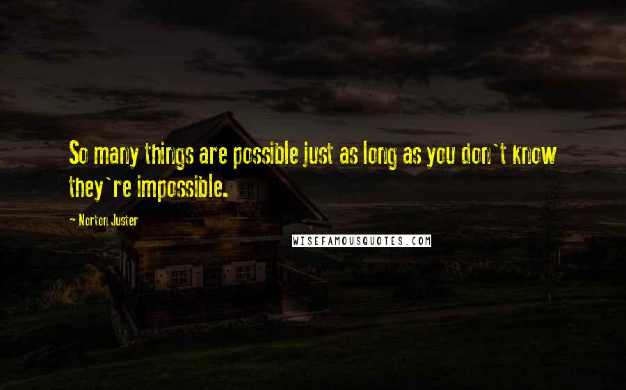 Norton Juster Quotes: So many things are possible just as long as you don't know they're impossible.