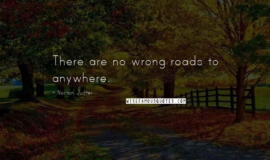 Norton Juster Quotes: There are no wrong roads to anywhere.