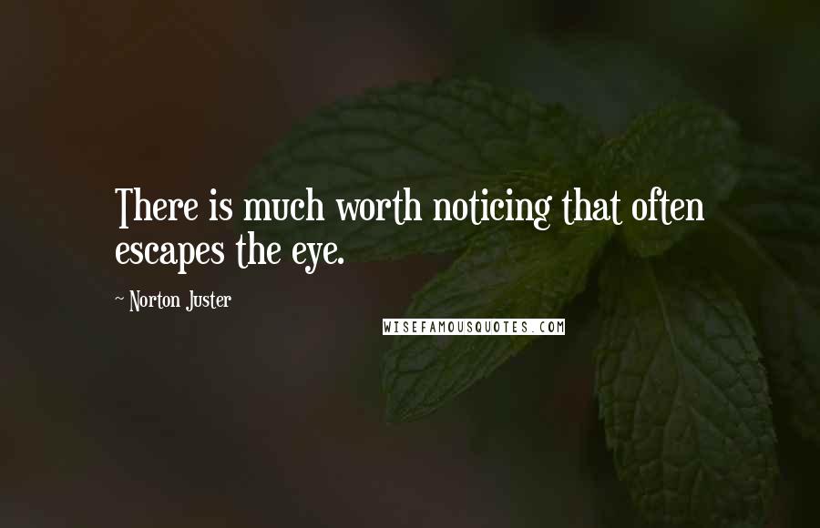 Norton Juster Quotes: There is much worth noticing that often escapes the eye.