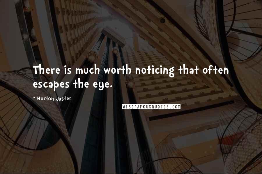 Norton Juster Quotes: There is much worth noticing that often escapes the eye.