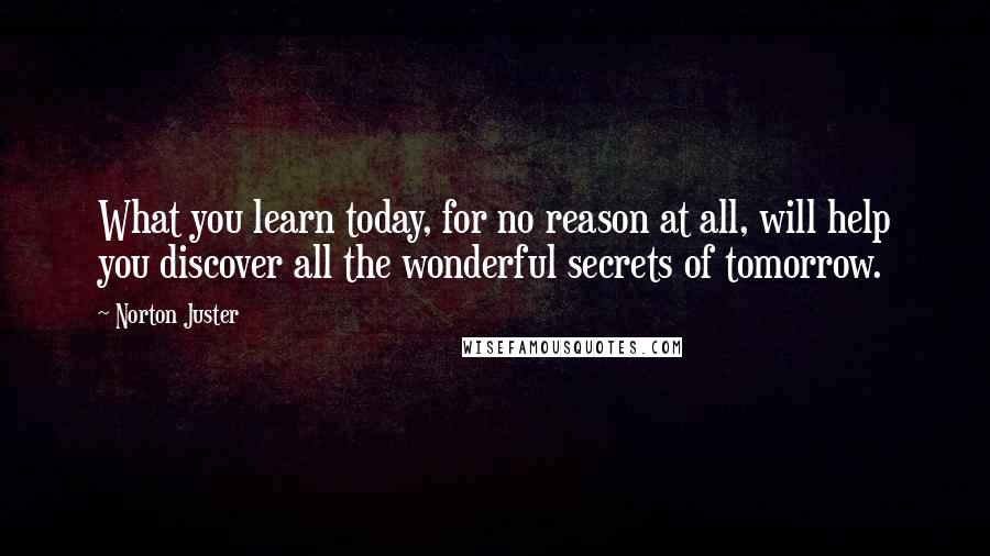 Norton Juster Quotes: What you learn today, for no reason at all, will help you discover all the wonderful secrets of tomorrow.