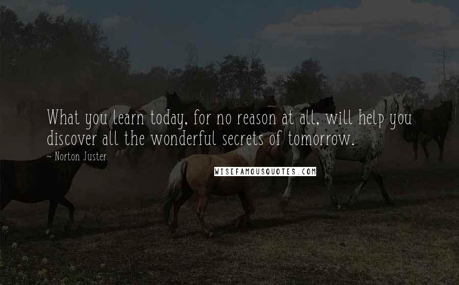 Norton Juster Quotes: What you learn today, for no reason at all, will help you discover all the wonderful secrets of tomorrow.