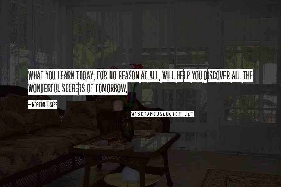 Norton Juster Quotes: What you learn today, for no reason at all, will help you discover all the wonderful secrets of tomorrow.