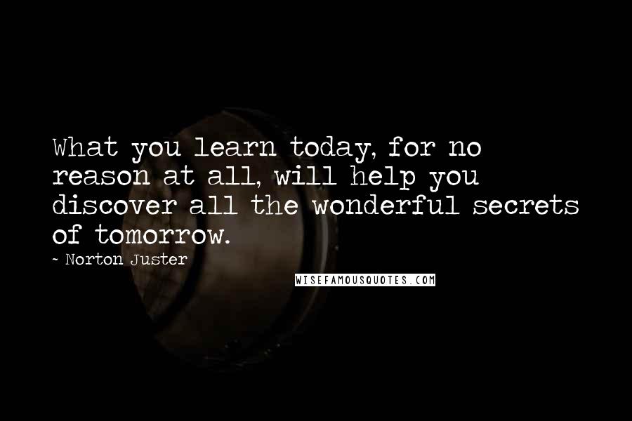 Norton Juster Quotes: What you learn today, for no reason at all, will help you discover all the wonderful secrets of tomorrow.