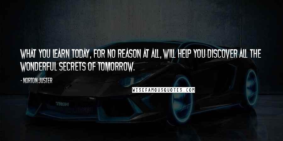 Norton Juster Quotes: What you learn today, for no reason at all, will help you discover all the wonderful secrets of tomorrow.