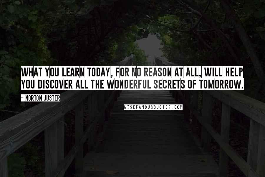 Norton Juster Quotes: What you learn today, for no reason at all, will help you discover all the wonderful secrets of tomorrow.