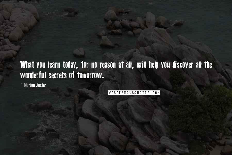 Norton Juster Quotes: What you learn today, for no reason at all, will help you discover all the wonderful secrets of tomorrow.