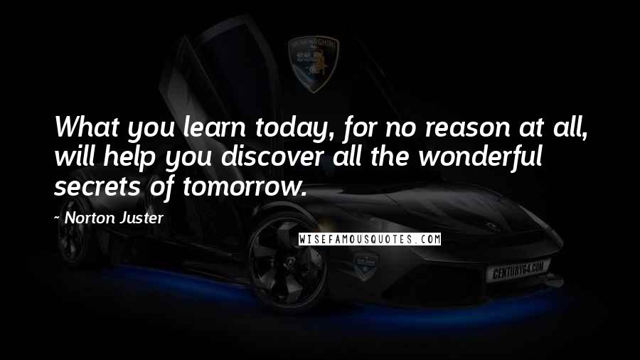 Norton Juster Quotes: What you learn today, for no reason at all, will help you discover all the wonderful secrets of tomorrow.