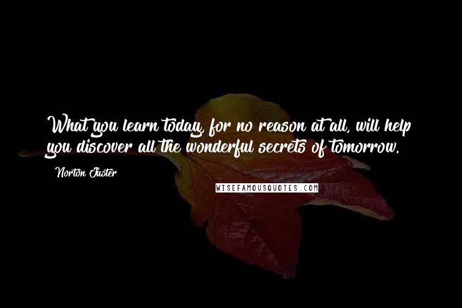 Norton Juster Quotes: What you learn today, for no reason at all, will help you discover all the wonderful secrets of tomorrow.