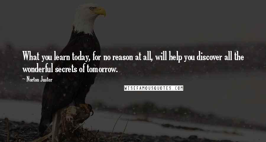 Norton Juster Quotes: What you learn today, for no reason at all, will help you discover all the wonderful secrets of tomorrow.