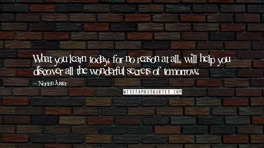 Norton Juster Quotes: What you learn today, for no reason at all, will help you discover all the wonderful secrets of tomorrow.