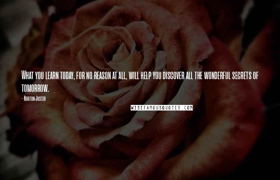 Norton Juster Quotes: What you learn today, for no reason at all, will help you discover all the wonderful secrets of tomorrow.