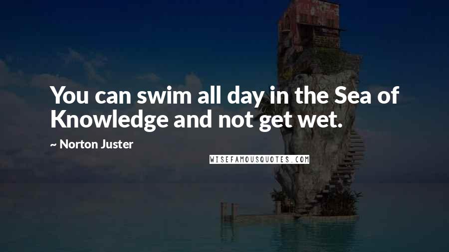 Norton Juster Quotes: You can swim all day in the Sea of Knowledge and not get wet.