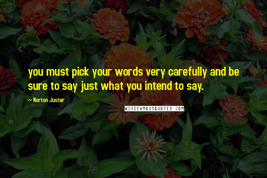 Norton Juster Quotes: you must pick your words very carefully and be sure to say just what you intend to say.