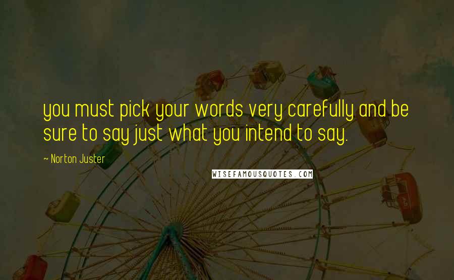 Norton Juster Quotes: you must pick your words very carefully and be sure to say just what you intend to say.