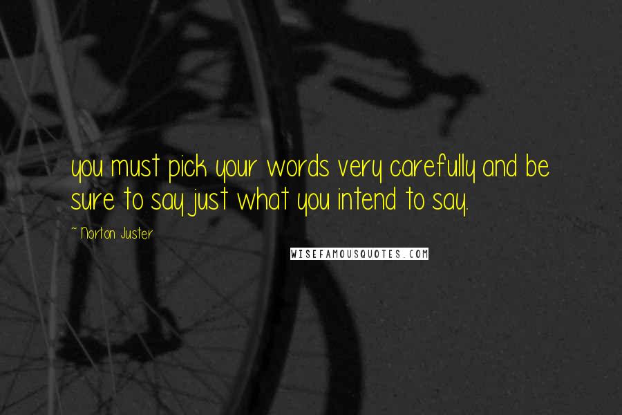 Norton Juster Quotes: you must pick your words very carefully and be sure to say just what you intend to say.