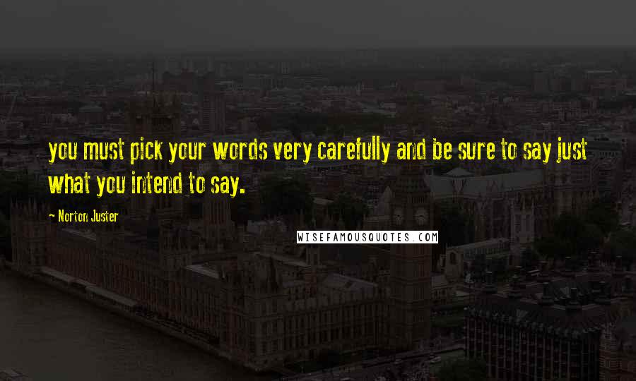 Norton Juster Quotes: you must pick your words very carefully and be sure to say just what you intend to say.