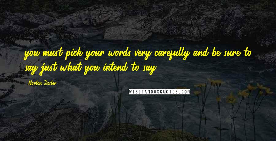 Norton Juster Quotes: you must pick your words very carefully and be sure to say just what you intend to say.