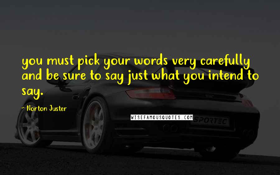 Norton Juster Quotes: you must pick your words very carefully and be sure to say just what you intend to say.