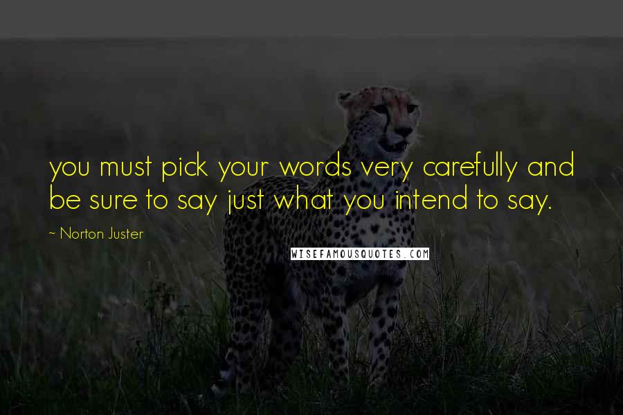 Norton Juster Quotes: you must pick your words very carefully and be sure to say just what you intend to say.