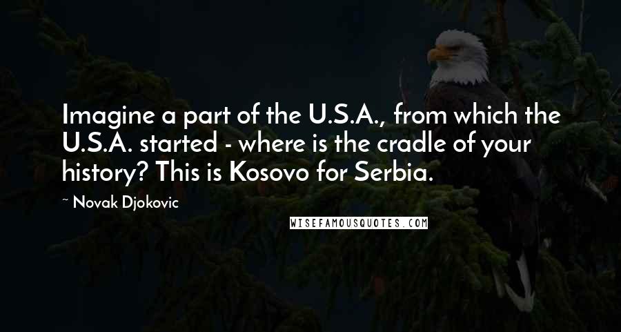 Novak Djokovic Quotes: Imagine a part of the U.S.A., from which the U.S.A. started - where is the cradle of your history? This is Kosovo for Serbia.