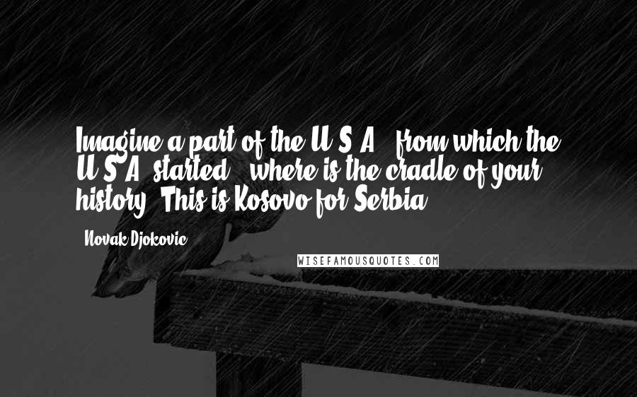 Novak Djokovic Quotes: Imagine a part of the U.S.A., from which the U.S.A. started - where is the cradle of your history? This is Kosovo for Serbia.