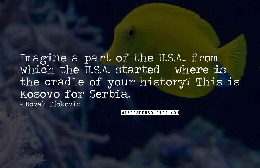 Novak Djokovic Quotes: Imagine a part of the U.S.A., from which the U.S.A. started - where is the cradle of your history? This is Kosovo for Serbia.