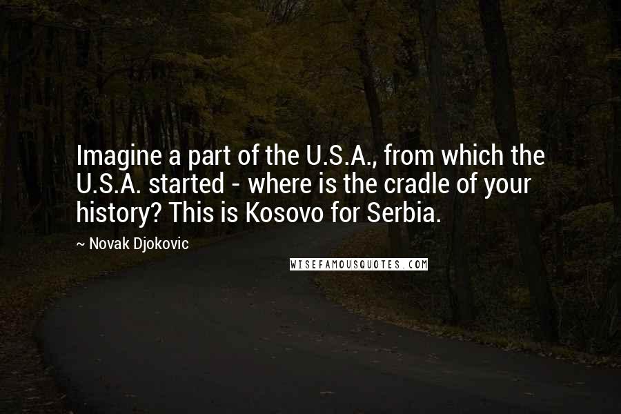 Novak Djokovic Quotes: Imagine a part of the U.S.A., from which the U.S.A. started - where is the cradle of your history? This is Kosovo for Serbia.