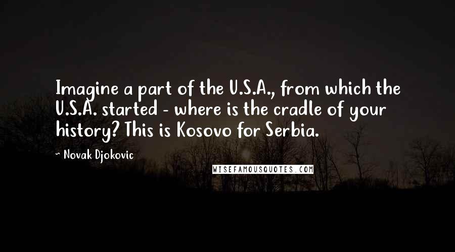 Novak Djokovic Quotes: Imagine a part of the U.S.A., from which the U.S.A. started - where is the cradle of your history? This is Kosovo for Serbia.