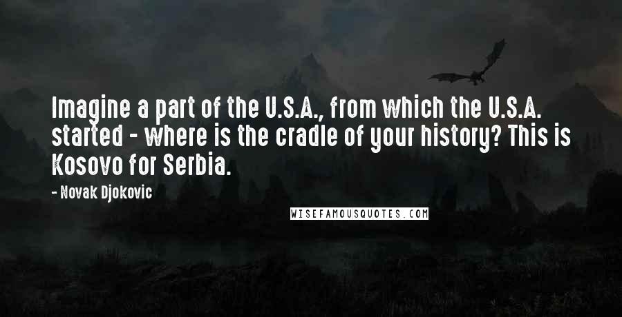 Novak Djokovic Quotes: Imagine a part of the U.S.A., from which the U.S.A. started - where is the cradle of your history? This is Kosovo for Serbia.