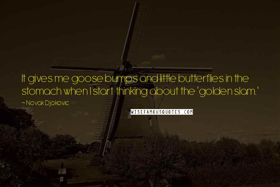 Novak Djokovic Quotes: It gives me goose bumps and little butterflies in the stomach when I start thinking about the 'golden slam.'