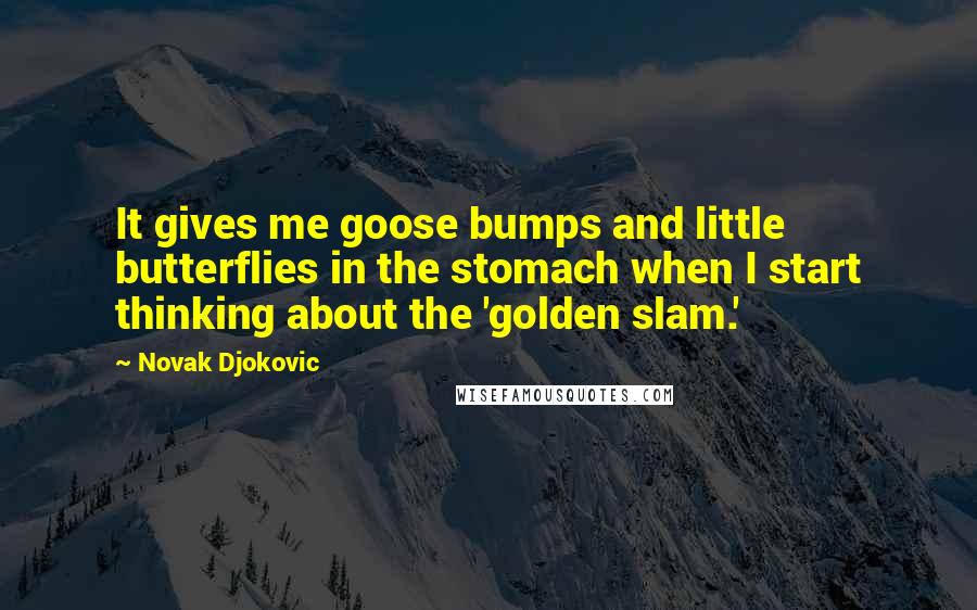 Novak Djokovic Quotes: It gives me goose bumps and little butterflies in the stomach when I start thinking about the 'golden slam.'