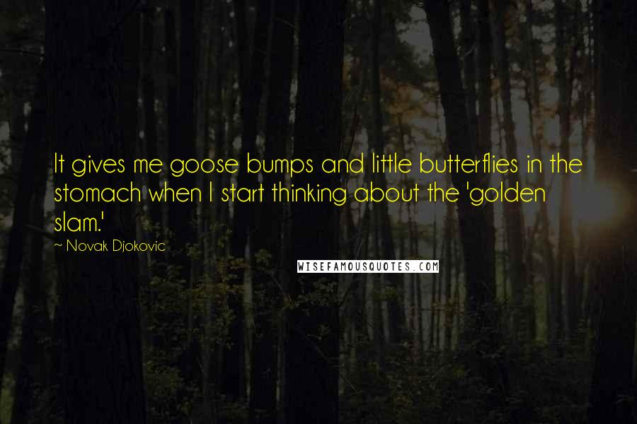 Novak Djokovic Quotes: It gives me goose bumps and little butterflies in the stomach when I start thinking about the 'golden slam.'