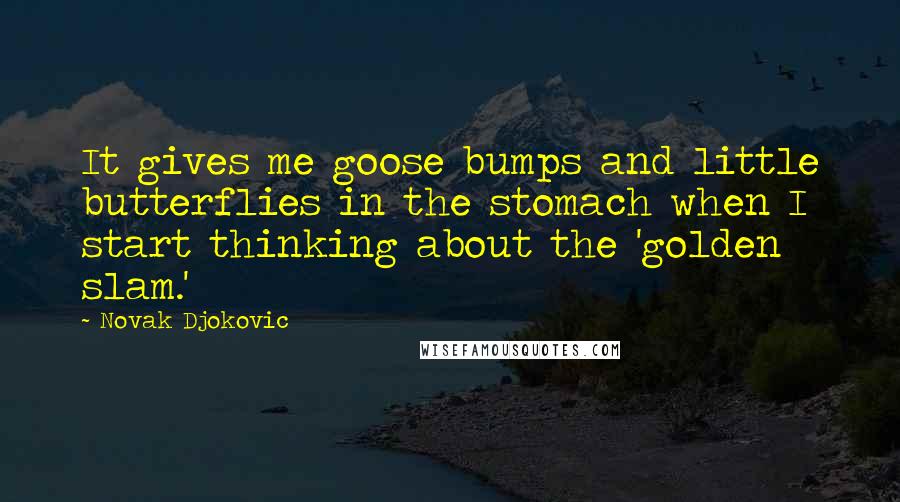 Novak Djokovic Quotes: It gives me goose bumps and little butterflies in the stomach when I start thinking about the 'golden slam.'
