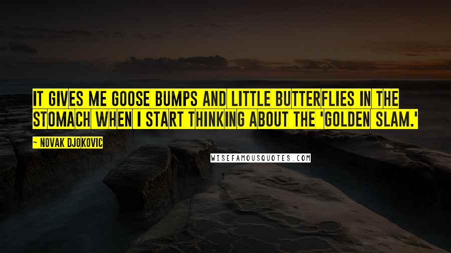 Novak Djokovic Quotes: It gives me goose bumps and little butterflies in the stomach when I start thinking about the 'golden slam.'