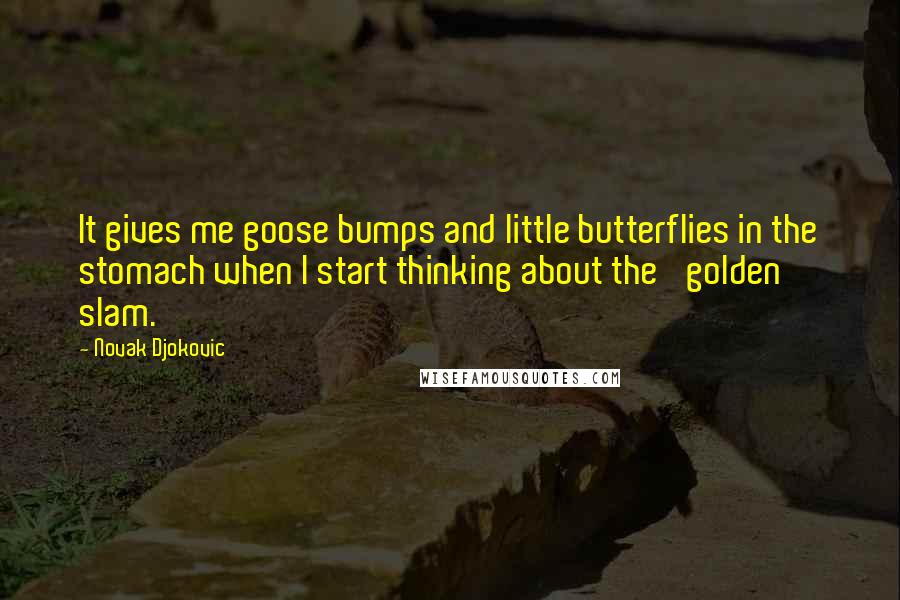 Novak Djokovic Quotes: It gives me goose bumps and little butterflies in the stomach when I start thinking about the 'golden slam.'