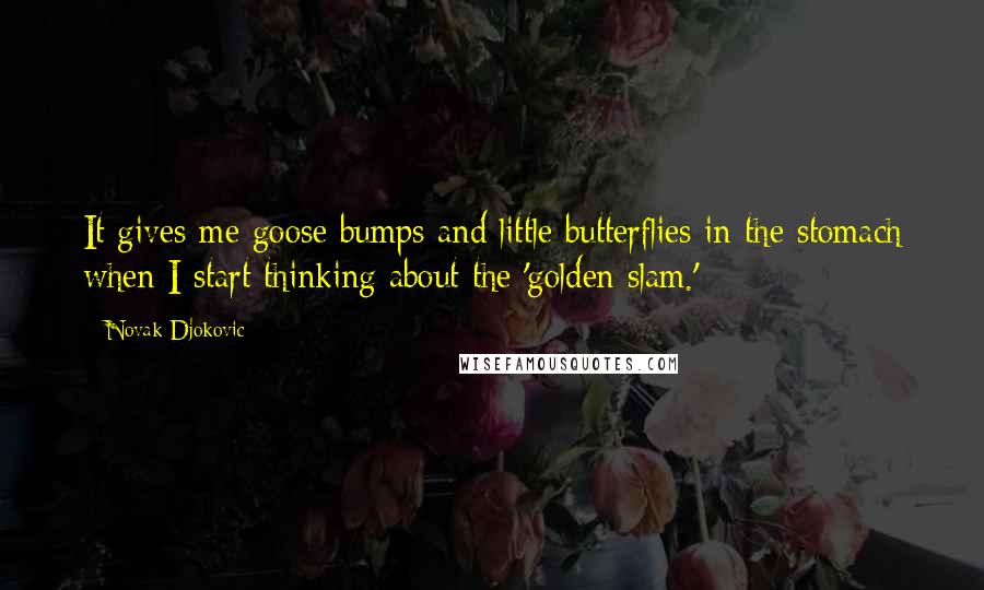 Novak Djokovic Quotes: It gives me goose bumps and little butterflies in the stomach when I start thinking about the 'golden slam.'