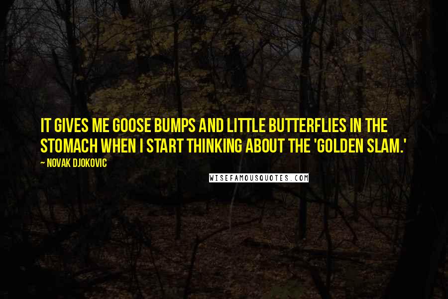 Novak Djokovic Quotes: It gives me goose bumps and little butterflies in the stomach when I start thinking about the 'golden slam.'