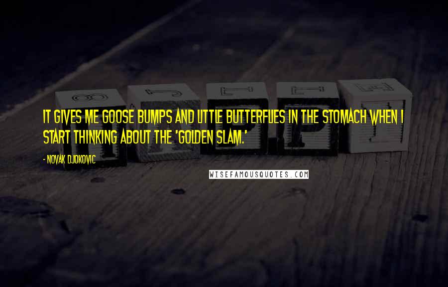 Novak Djokovic Quotes: It gives me goose bumps and little butterflies in the stomach when I start thinking about the 'golden slam.'