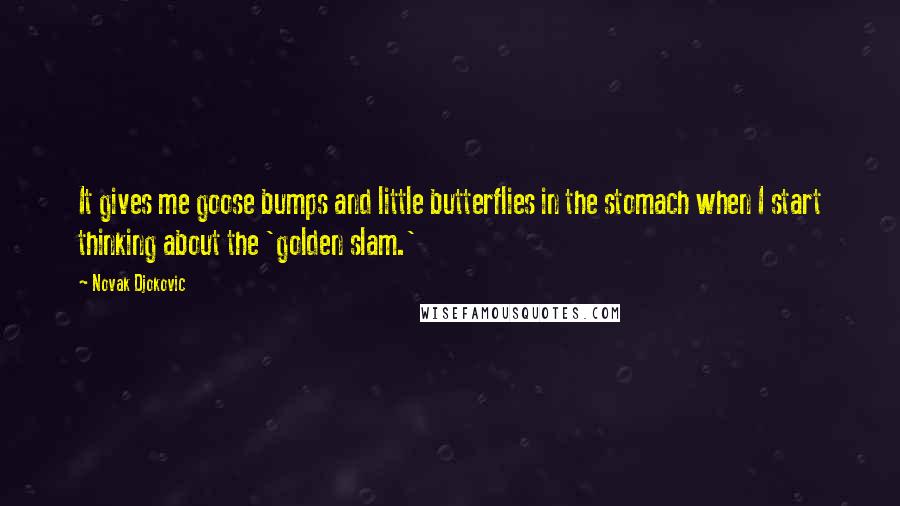 Novak Djokovic Quotes: It gives me goose bumps and little butterflies in the stomach when I start thinking about the 'golden slam.'