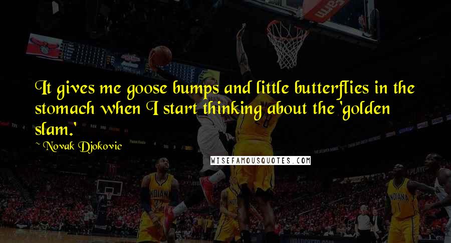 Novak Djokovic Quotes: It gives me goose bumps and little butterflies in the stomach when I start thinking about the 'golden slam.'