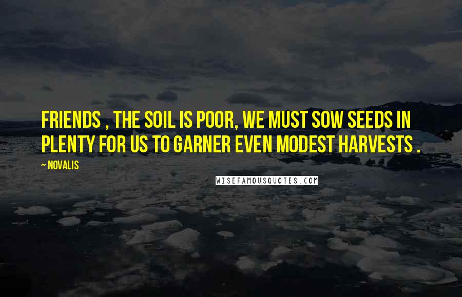 Novalis Quotes: Friends , the soil is poor, we must sow seeds in plenty for us to garner even modest harvests .