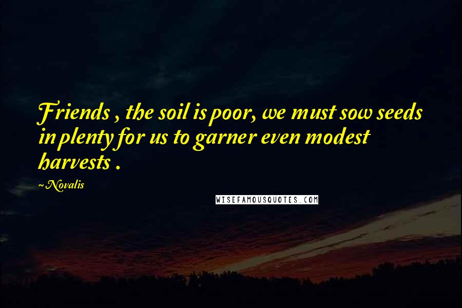 Novalis Quotes: Friends , the soil is poor, we must sow seeds in plenty for us to garner even modest harvests .