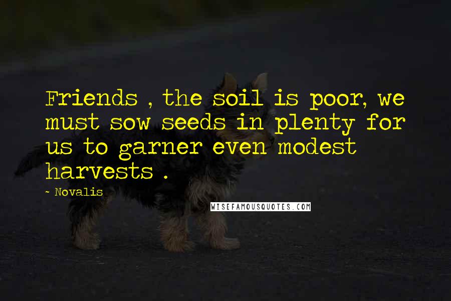 Novalis Quotes: Friends , the soil is poor, we must sow seeds in plenty for us to garner even modest harvests .