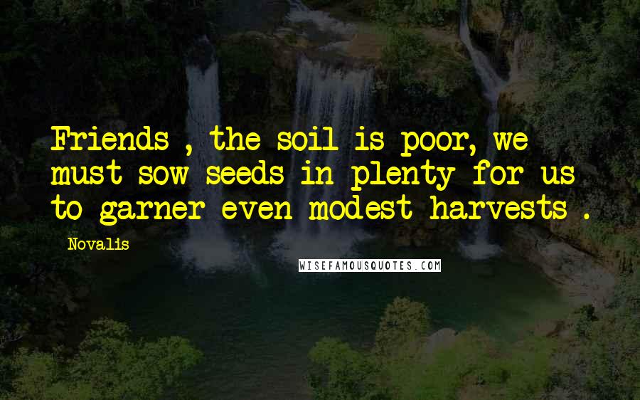 Novalis Quotes: Friends , the soil is poor, we must sow seeds in plenty for us to garner even modest harvests .
